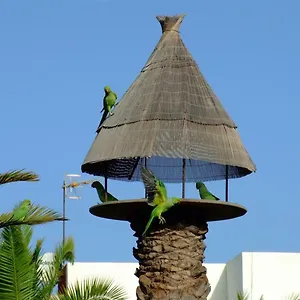 Appartement La Kasita In Primavera, Costa Del Silencio